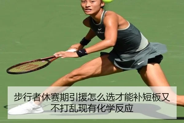 步行者休赛期引援怎么选才能补短板又不打乱现有化学反应